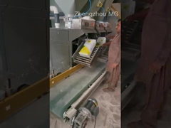 Vollautomatische Trockenmischung Pulver Mörtel Produktionslinie Wand Putty Gips Skim Coat Mixer Fliesenklebstoff